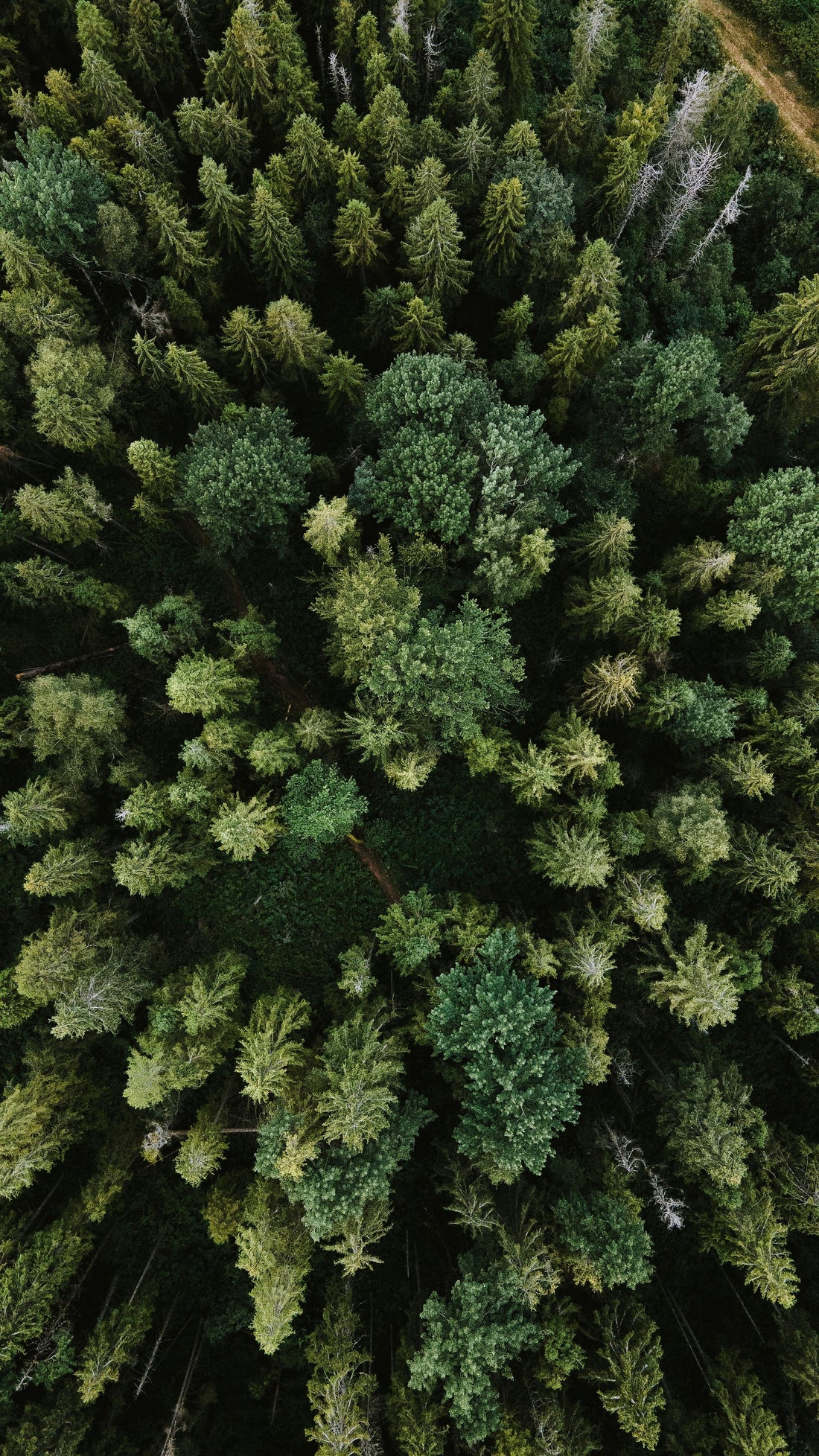 Preserving the Earth: Protecting Our Natural Resources Matters More Than Ever