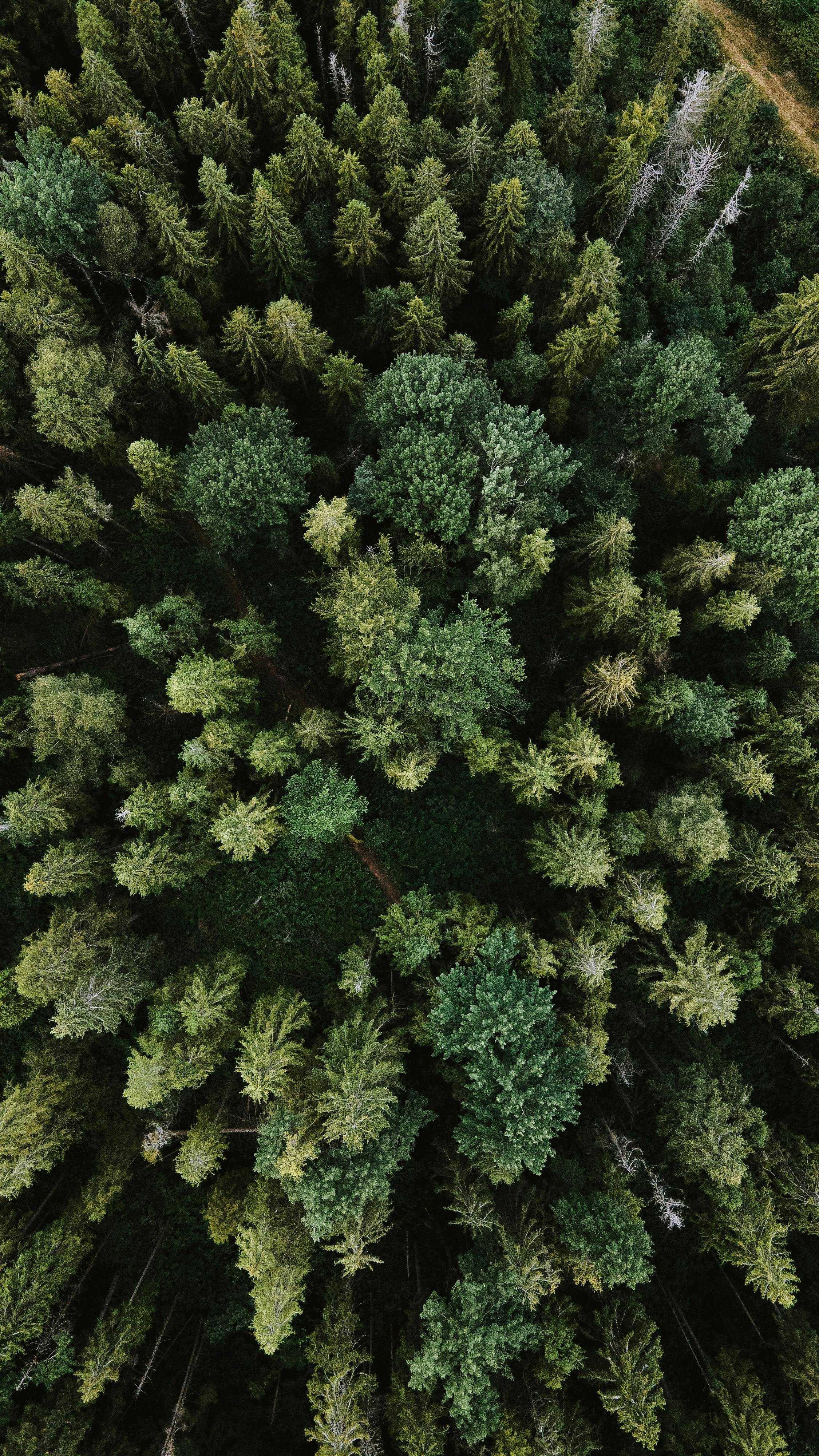 Preserving the Earth: Protecting Our Natural Resources Matters More Than Ever